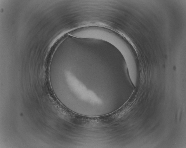 X0000081380975200702020226