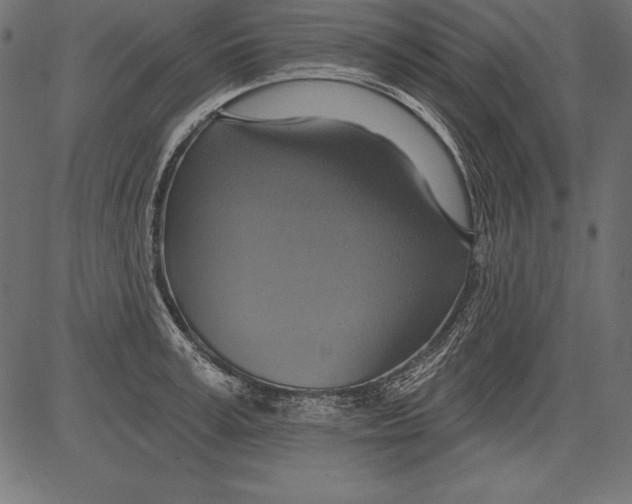 X0000081380995200702020226