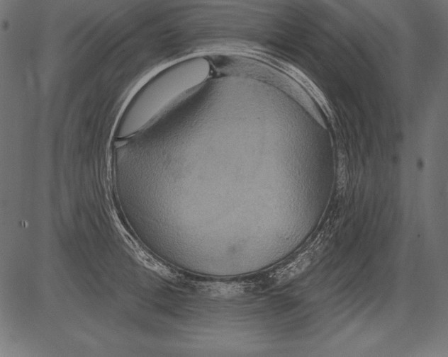 X0000081380996200702020226