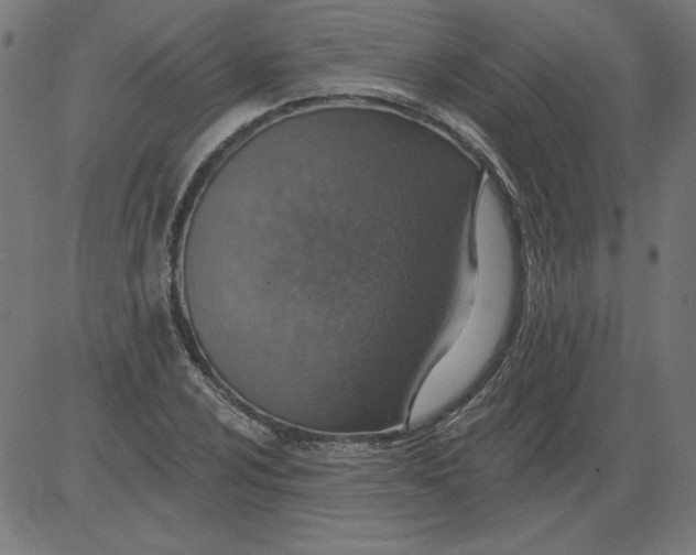 X0000081381024200702020225