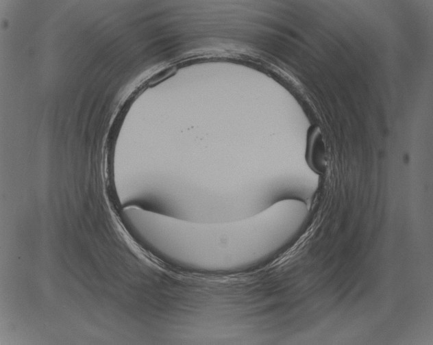 X0000081381034200702020225