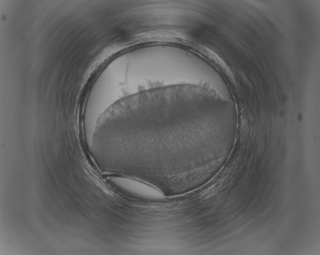 X0000081381035200702020225