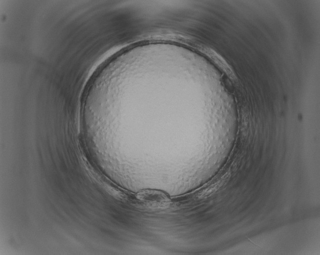 X0000081381036200702020225