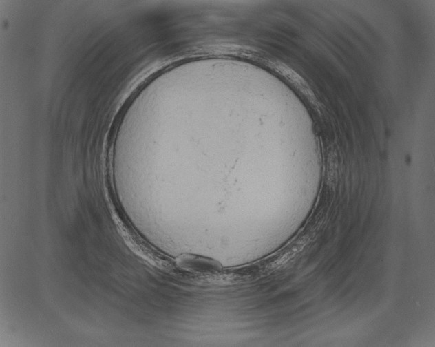 X0000081381039200702020225