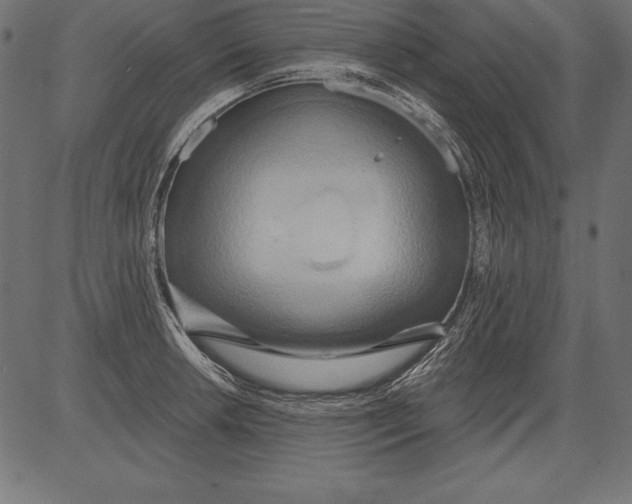 X0000081381042200702020225