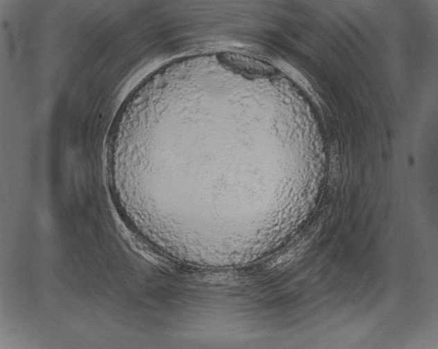 X0000081381047200702020225