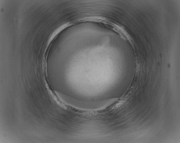 X0000081381050200702020225
