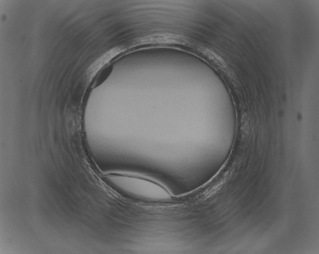 X0000081381081200702020224