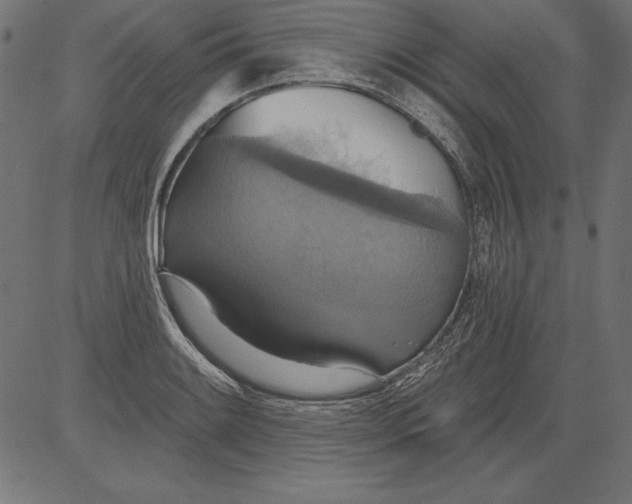 X0000081381084200702020224