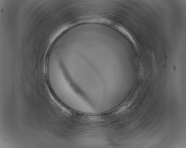 X0000081381095200702020224