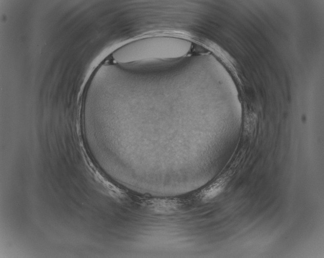 X0000081381102200702020224
