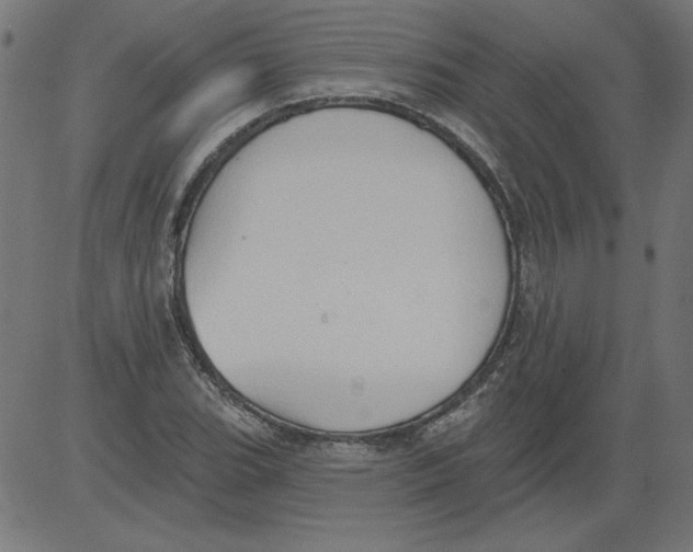 X0000081381119200702020223