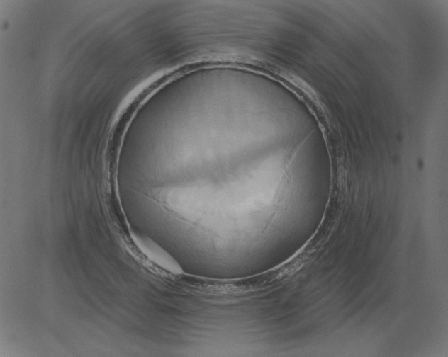 X0000081381120200702020223