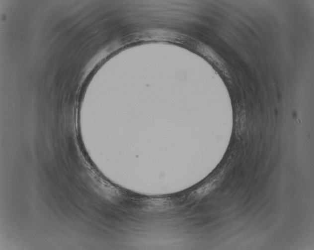 X0000081381130200702020223