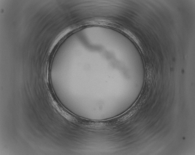 X0000081381131200702020223
