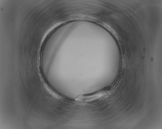X0000081381136200702020223