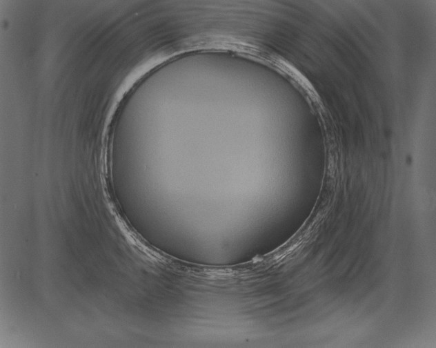 X0000081381144200702020224