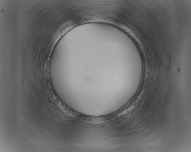 X0000081381145200702020224