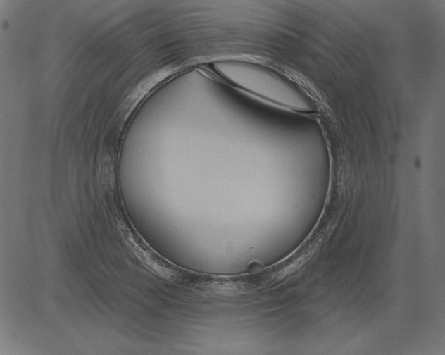 X0000081381177200702020223