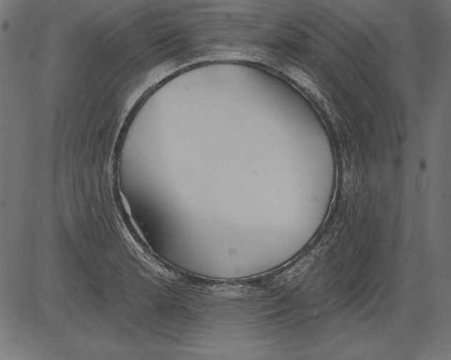 X0000081381181200702020223