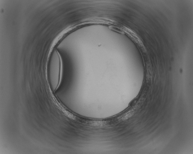 X0000081381188200702020222
