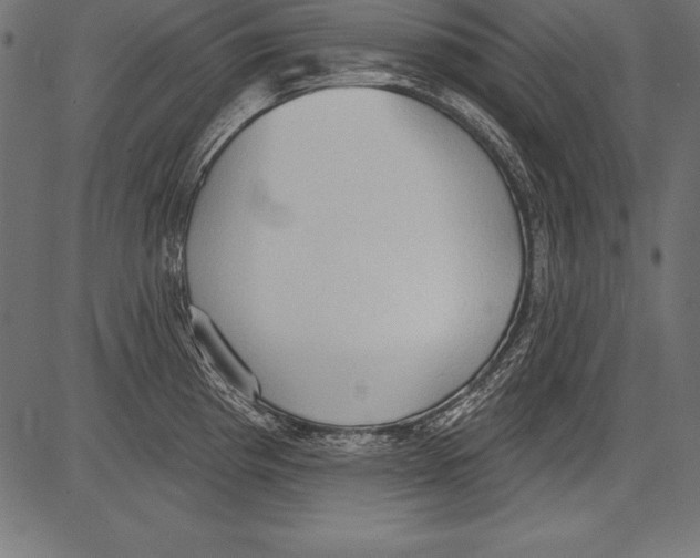 X0000081381193200702020222