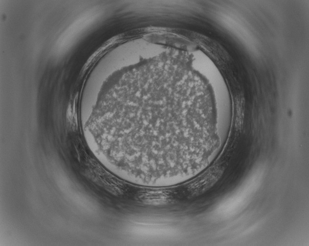 X0000081381198200702020222