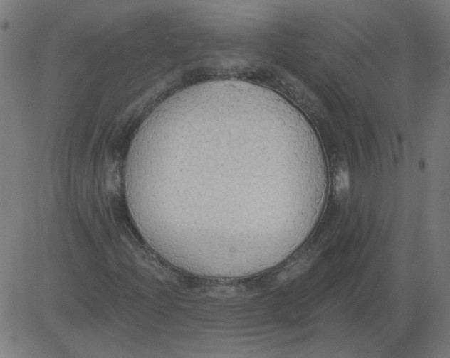 X0000081381204200702020221
