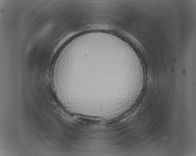 X0000081381212200702020222