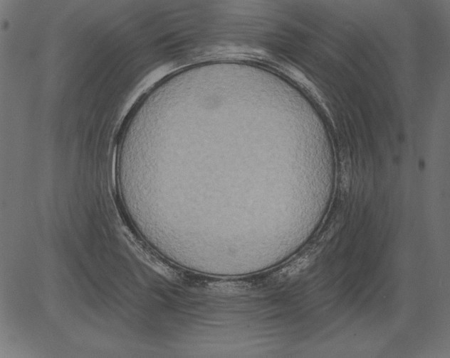 X0000081381227200702020222