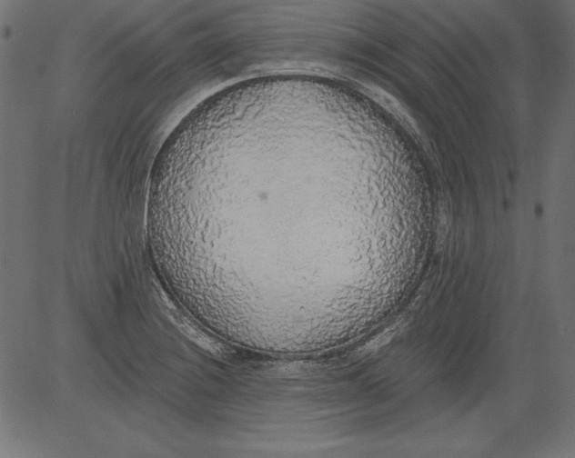 X0000081381228200702020222