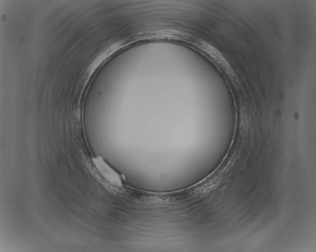 X0000081381234200702020222