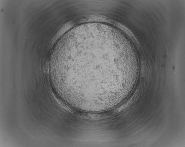 X0000081381241200702020222