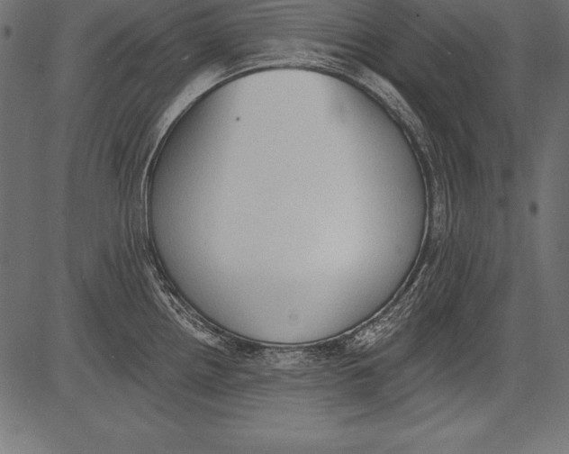 X0000081381242200702020222