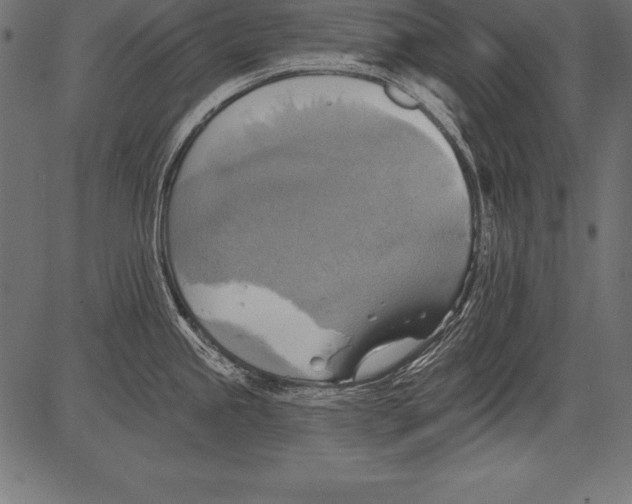 X0000081381245200702020222