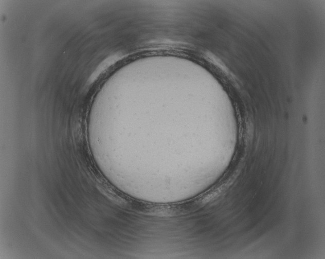 X0000081381259200702020221