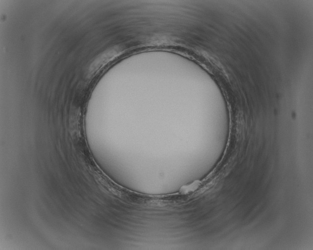 X0000081381265200702020221