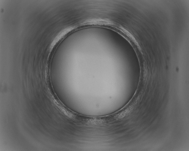 X0000081381277200702020221