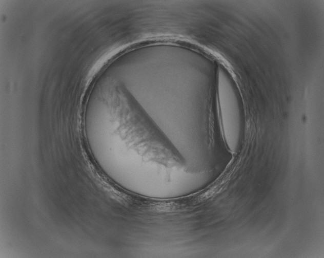 X0000081381279200702020221