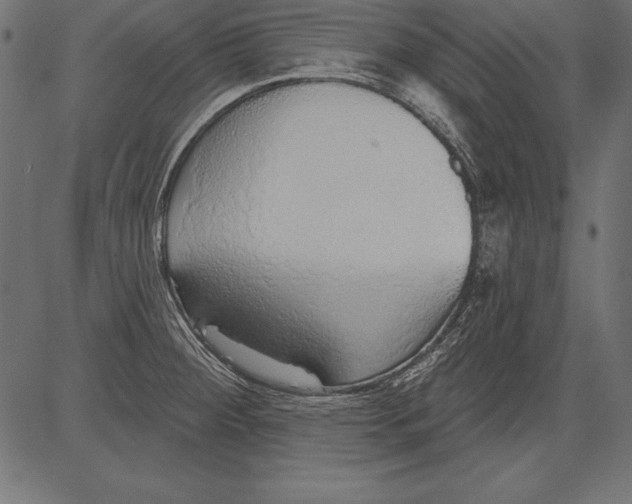 X0000081381284200702020221
