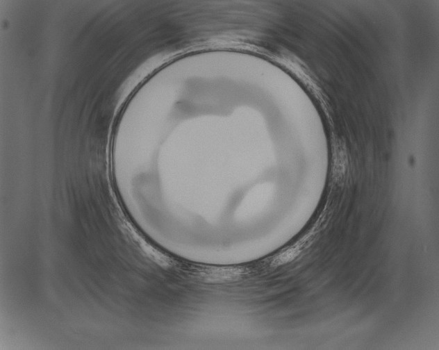 X0000081381294200702020221