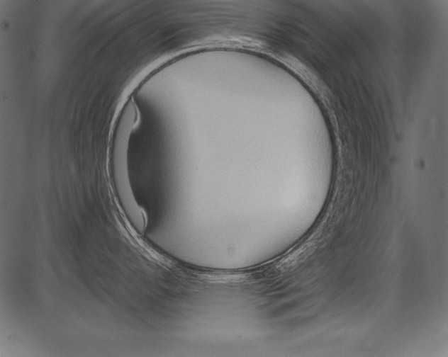 X0000081381296200702020221