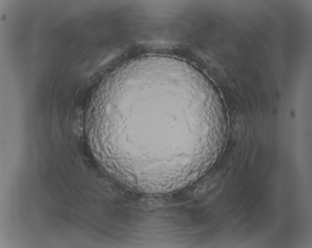 X0000081381301200702020220