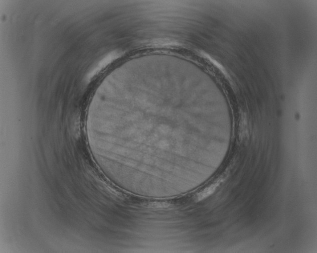 X0000081381306200702020220