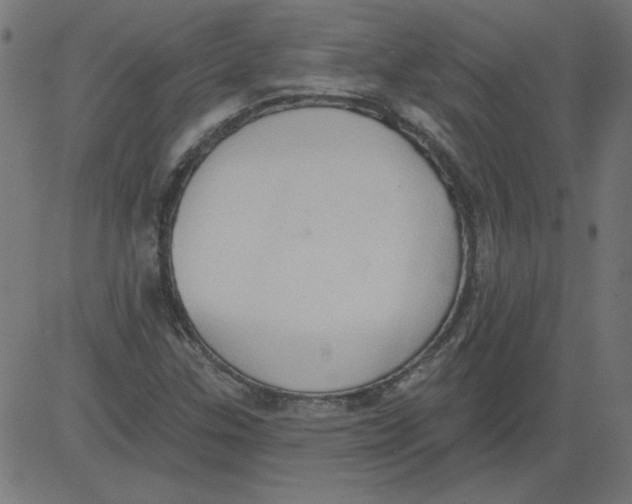 X0000081381307200702020220