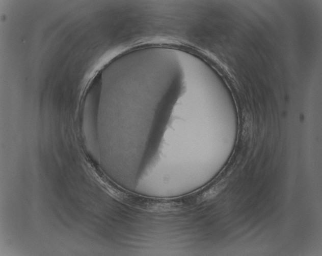 X0000081381367200702020219