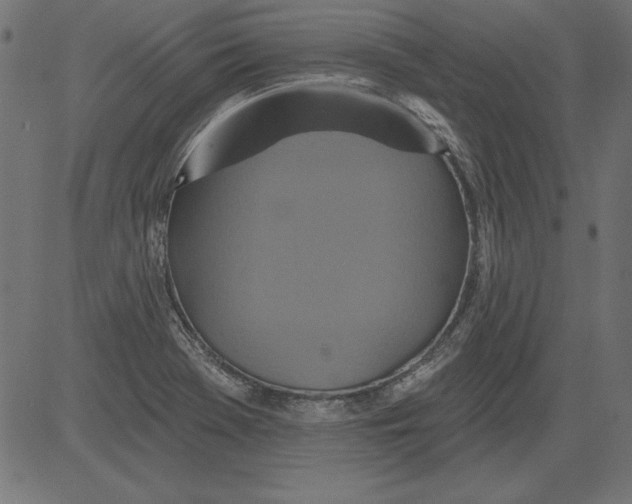 X0000081381369200702020219
