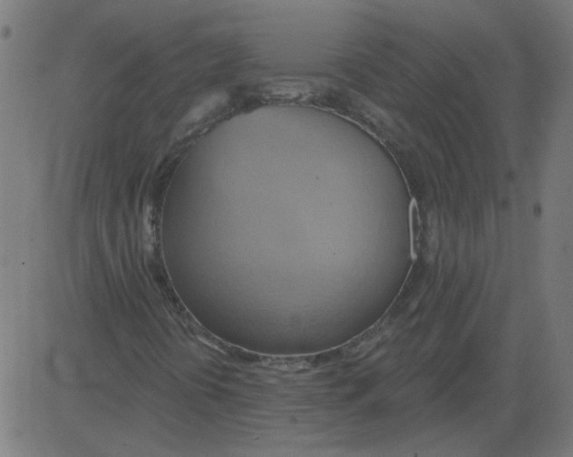 X0000081381394200702020218