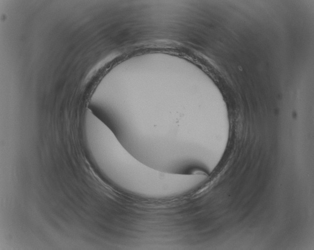X0000081381402200702020218