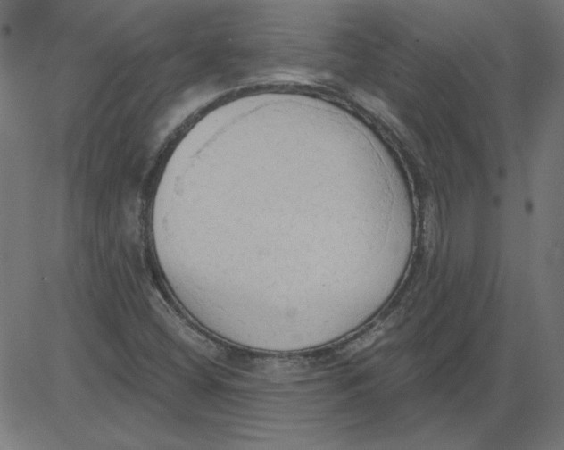 X0000081381404200702020218